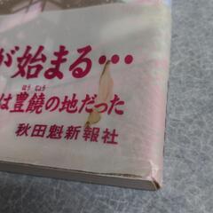 時の旅四百年 佐竹氏 入部◆近世 江戸時代 岩城氏 生駒氏 湯沢 大舘 角館の画像