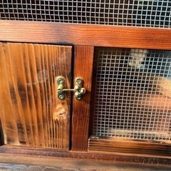 室内用鳥小屋　チーク塗装プラスバーナー焼き目の画像