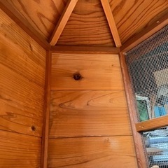 室内用鳥小屋　チーク塗装プラスバーナー焼き目の画像