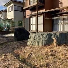 庭石