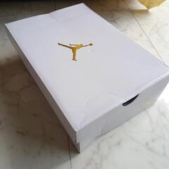 NIKE ナイキウィメンズ エアジョーダン 1 ロー WMNS AIR JORDAN 1 LOW SE
白金の画像