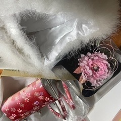 成人式ショール、バック、草履、髪飾りの画像