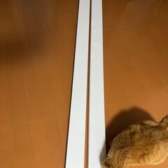 【2×4の2本セット】ホワイト塗装済みツーバイフォー材【1725...