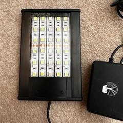 爬虫類　LED薄型スリム小型ライト