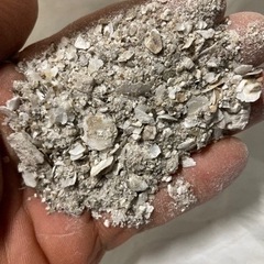 浜名湖産かき殻使用　漁師が作ったかき殻肥料　在庫常備してますの画像