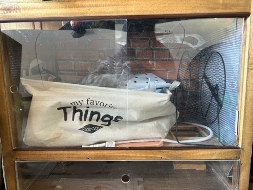 ハリネズミケージ