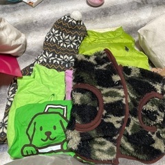 取引中　犬用洋服　中型犬洋服　7号から８号
