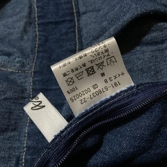 Aallamandaジャンスカの画像
