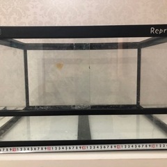ビバリア　レプロ340Vivaria REPRO 340 ビバリア レプロ340Vivaria REPRO 340 ビバリア レプロ