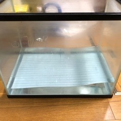 45cm水槽