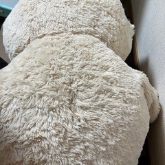くま ぬいぐるみの画像