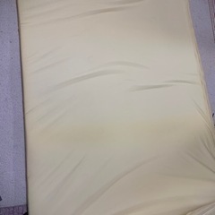 【受け渡し者決まりました】トゥルースリーパー ライトの画像