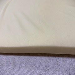 【受け渡し者決まりました】トゥルースリーパー ライト