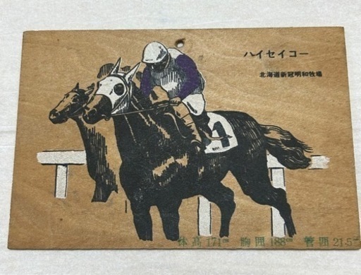 名馬ハイセイコー木製絵はがき