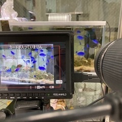 値段相談可カメラ向け液晶モニター Feelworld FW759