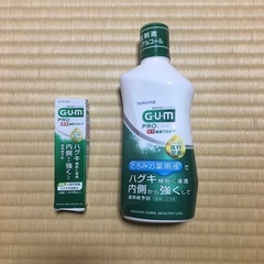 GUM (ガム) 歯周プロケア デンタルリンス + ペースト