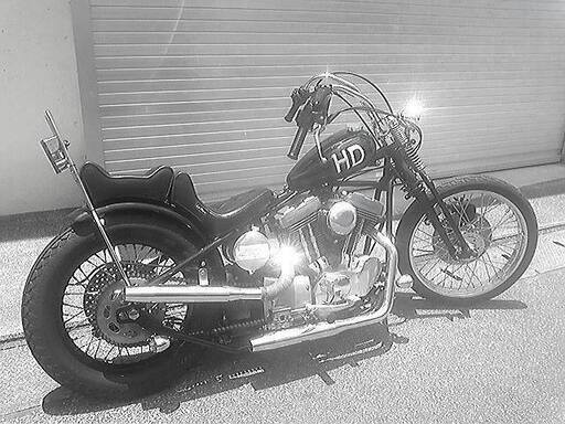 ハーレー・ロードホッパー・タイプⅡ