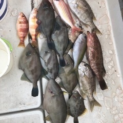 釣りサークル　おじゃる丸 - メンバー募集