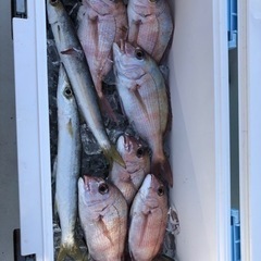 釣りサークル　おじゃる丸 − 愛知県