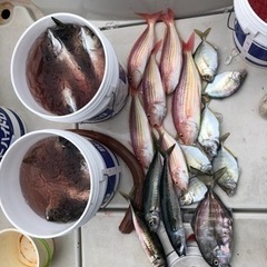 釣りサークル　おじゃる丸 - 友達