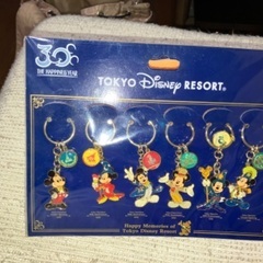 東京ディズニーリゾート30周年記念キーチェーン