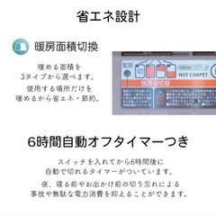 ホットカーペット ３帖用の画像