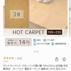 ホットカーペット ３帖用の画像