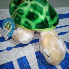 無料にしちゃいました。🐢かめ🍈メロンのぬいぐるみ