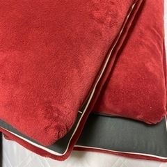ロングクッション×2枚　50センチ×125センチ