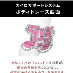 体幹ポジショニングシートの画像