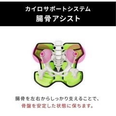 体幹ポジショニングシートの画像