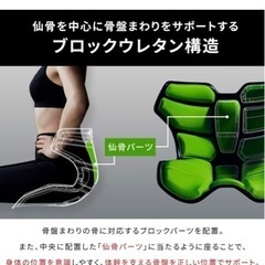 体幹ポジショニングシートの画像
