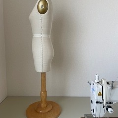 レディース　ハーフサイズ　マネキン　の画像
