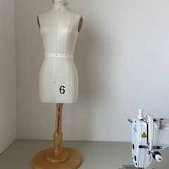 レディース　ハーフサイズ　マネキン　
