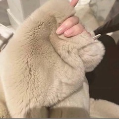 【新品】ラビットエコファーコートの画像