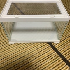 ＧＥXレプテリア