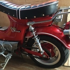 最終値下げ！ホンダ　シャリィ　シャリーの画像
