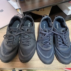 定価一足約2万円　DESCENTE デサント／DELTA TRI...