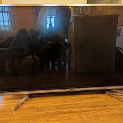 sharp 52" テレビ