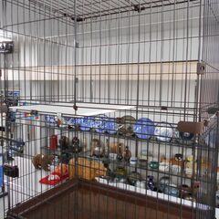 猫用サークル