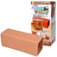 ペットボトルで ひんやりテラコッタ/ペットボトルカバー 夏 ひん...