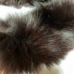 値下げ☆フォックスファーの画像