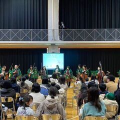 弦楽合奏団　弦楽器プレイヤー - その他