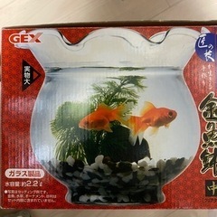 金魚鉢 未使用の画像