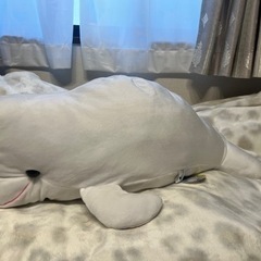 シロイルカ　ぬいぐるみ
