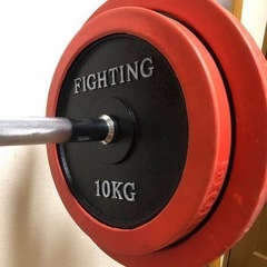 ベンチプレス100kg チンニングセットの画像