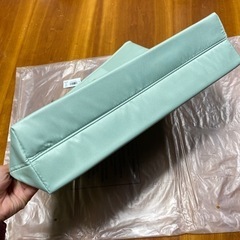 【値下げしました‼️】新品 CLINIQUE/クリニーク トートバッグ（ペールグリーン×レモンイエロー）の画像
