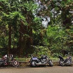 グンマーライダー群馬在住バイク乗りの集い - 友達