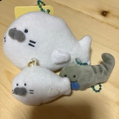 つぶらな瞳の水族館