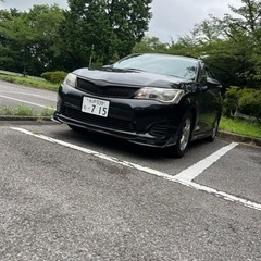 カローラフィールダー　希少5MTの画像